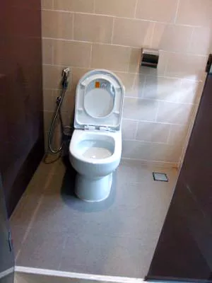 Toilet (Separate Shower & Toilet)