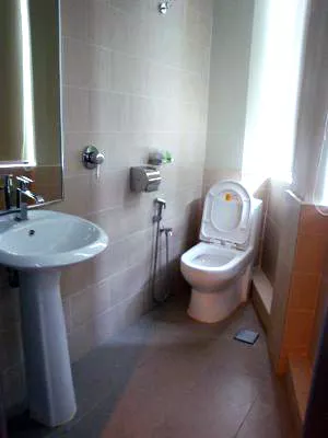 Integrated Shower, Toilet & Wash Basin