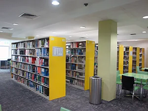 Inside the Library