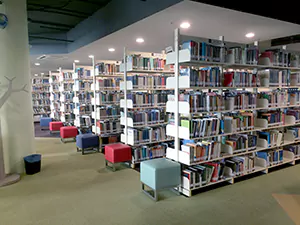 Inside the Library