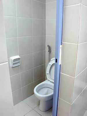 Common toilet