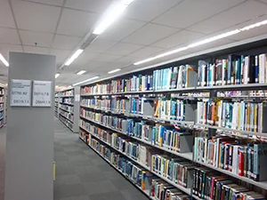 Inside Library