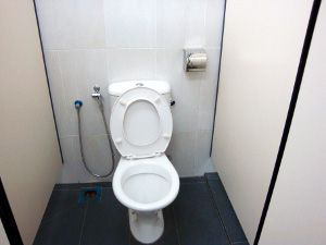 Common Toilet