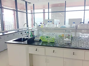 Laboratory for Science and Engineering