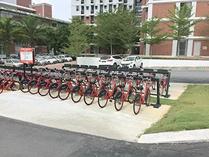 Campus Bicycle Rental